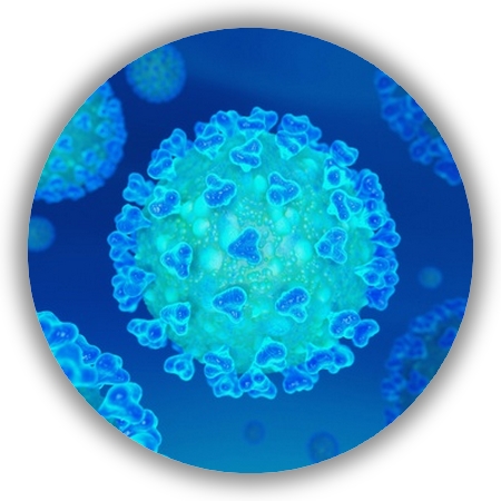 Medidas adoptadas sobre el Coronavirus